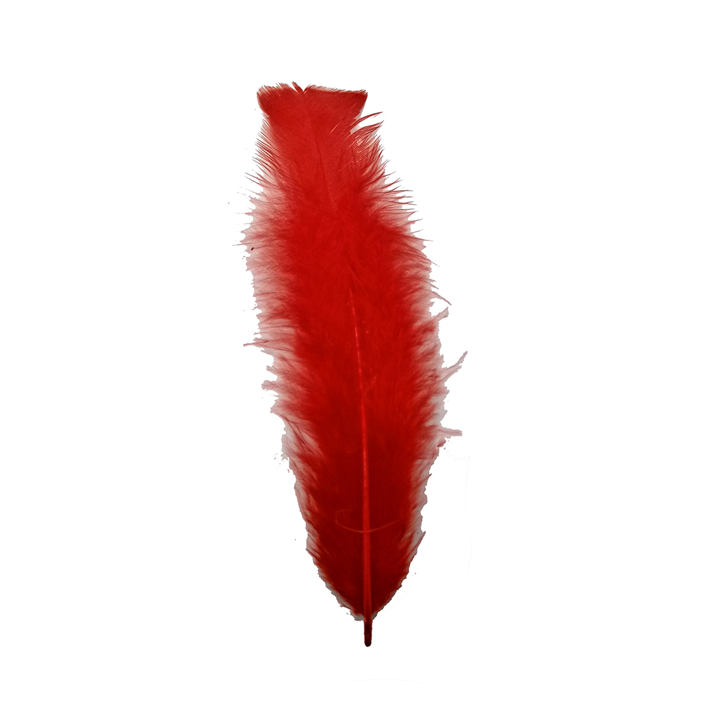 Plumas rojas (24 unidades) - Elsabella